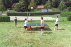 Teqball_grün